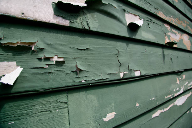 Best Moving and Downsizing Cleanouts  in Nottingham, PA