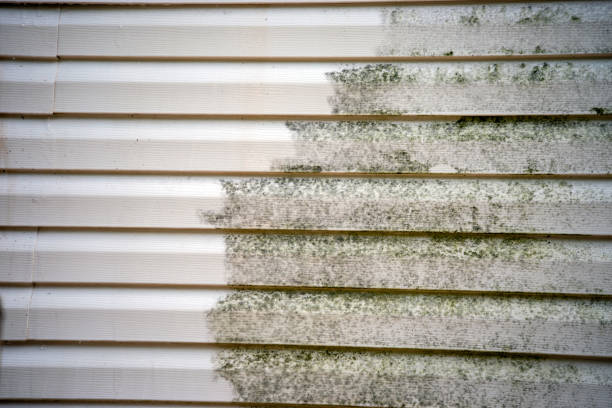 Best Demolition Debris Removal  in Nottingham, PA